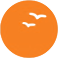 Collection App