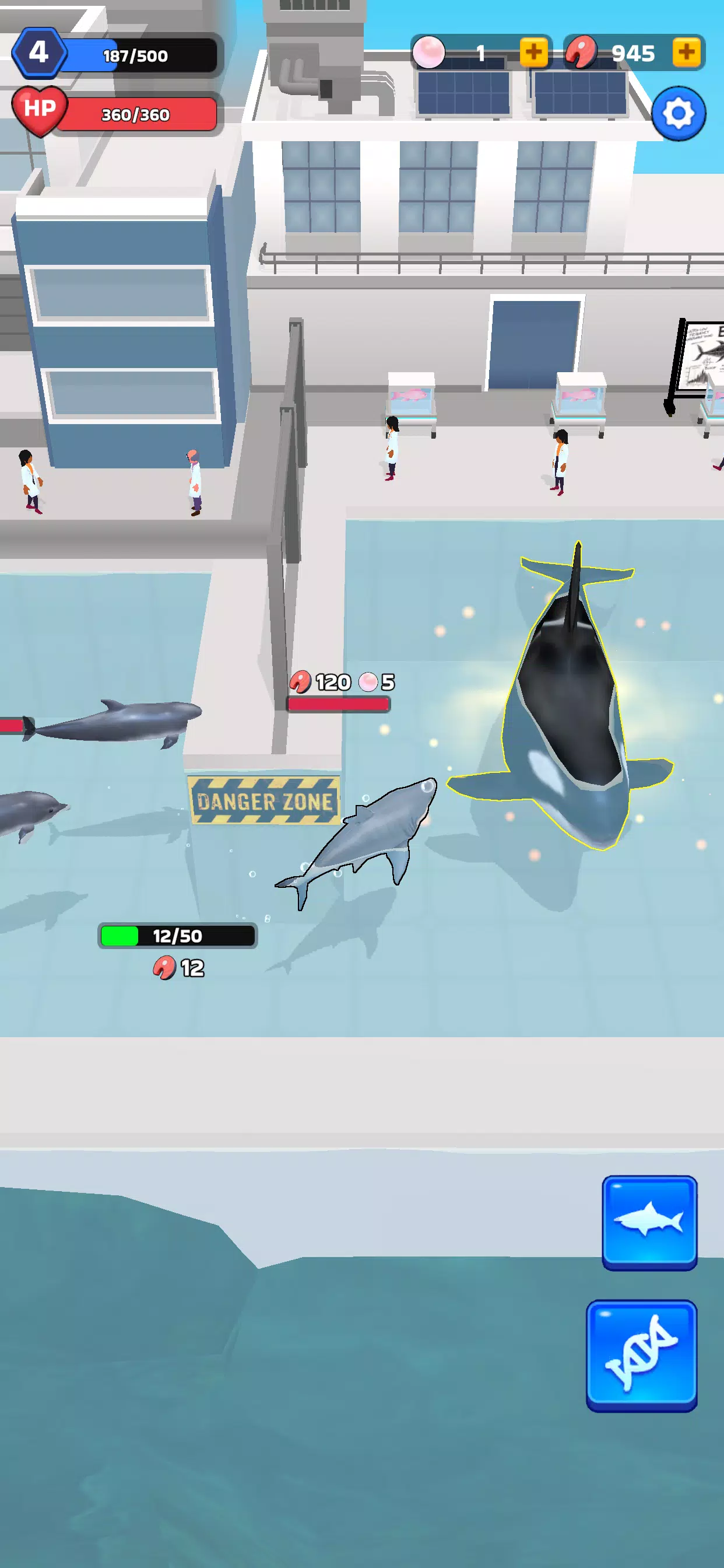 Shark Universe: 生存世界