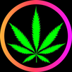 420Portal: Weed & Dispensaries APK