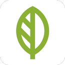 Casa Vida APK