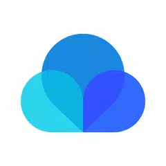 Raindrop.io XAPK download