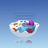 Biology Revision