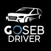 GoSebDriver icon