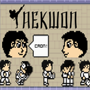 Taekwon.io APK