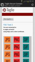 Taglio Secure Browser - Beta Affiche