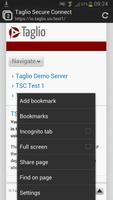 Taglio Secure Browser - Beta imagem de tela 2