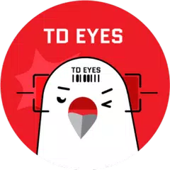 TD Eyes