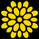 Synura: Clean Web Viewer APK