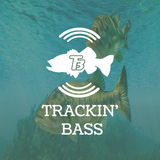 APK Trackin Bass