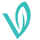 Vine Recruitment aplikacja