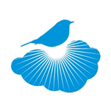 Careline Solutions Zeichen