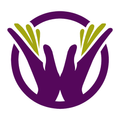Elsah Healthcare