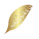 Magnolia Healthcare APK