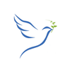 Sigma Healthcare Recruitment APK