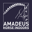 Amadeus Horse Indoors