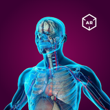 APK Human Anatomy
