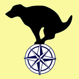 Essen Dog Study: MagnOr