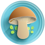 AI Mushroom Identifier