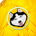 Super Husky Ice Ball Adventure