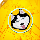 Super Husky Ice Ball Adventure icon