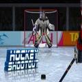 Ice Hockey Fun