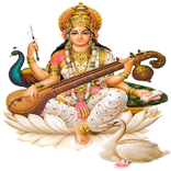 Twinkle Star English High Scho