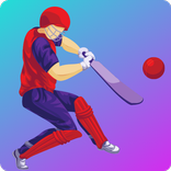 World Cricket Game Champion