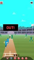 World Cricket Game Champion Screenshot 2