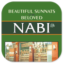 Beautiful Sunnats of Beloved Nabi Saw APK