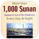1000 Sunan Every Day And Night APK
