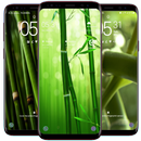 Bamboo Wallpaper APK