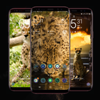 Cheetah Wallpaper icon
