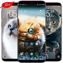 Cute Cat Wallpaper APK