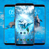 APK Dolphin Wallpaper