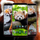 Red Panda Wallpaper APK