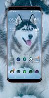 Siberian Husky Wallpaper Screenshot 1