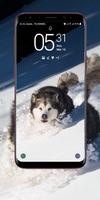 Siberian Husky Wallpaper ảnh chụp màn hình 2