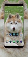 Siberian Husky Wallpaper captura de pantalla 3