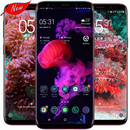 Under Ocean Wallpaper APK