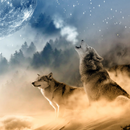 Wolf Wallpaper APK