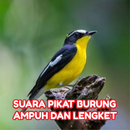 Suara Pikat Burung Kecil Mp3 APK