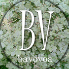 BAVOVOA biểu tượng
