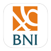 BNI SR 2013 (English)