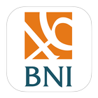 BNI SR 2013 (English) ikona