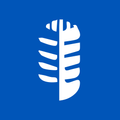 ”Inspigo: Upskilling Platform