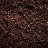 AI Soil Scanner
