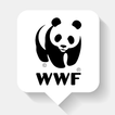 Panda Post WWF