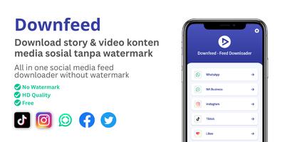 Downfeed - Feed Downloader Affiche