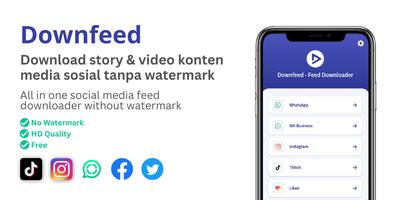 Downfeed - Feed Downloader পোস্টার