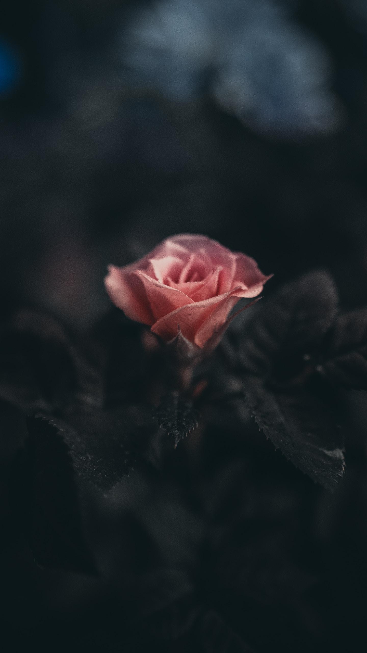 Black Wallpaper 4k For Android Apk Download